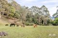 Property photo of 1 Saywell Place Wombarra NSW 2515