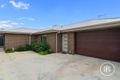 Property photo of 3/8 Maxwell Street Wangaratta VIC 3677