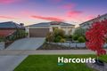 Property photo of 44 Corncob Boulevard Wangaratta VIC 3677