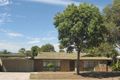 Property photo of 19 Olympus Avenue Modbury Heights SA 5092