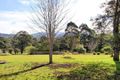 Property photo of 23 Towamba Street Towamba NSW 2550