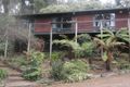 Property photo of 79 Belgrave-Gembrook Road Belgrave VIC 3160