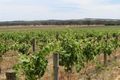 Property photo of LOT 2 Ebenezer Road Ebenezer SA 5355
