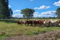 Property photo of 149 Airport Road Monto QLD 4630