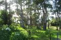 Property photo of 40 Karoo Crescent Malua Bay NSW 2536