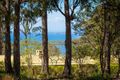 Property photo of 132 Turingal Head Road Wallagoot NSW 2550