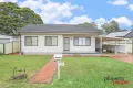 Property photo of 18 Cyprus Street Macquarie Fields NSW 2564