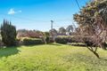 Property photo of 94 Dryandra Street O'Connor ACT 2602