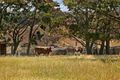 Property photo of 48 Simons Hill Road Darraweit Guim VIC 3756