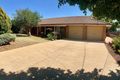 Property photo of 3 Cushan Avenue Gunnedah NSW 2380