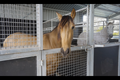 Property photo of 14 Laurette Drive Glenore Grove QLD 4342