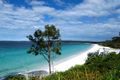 Property photo of 78 Cyrus Street Hyams Beach NSW 2540