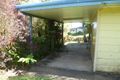 Property photo of 7 Scheu Street East Innisfail QLD 4860