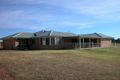 Property photo of 53 Barraba Lane Quorrobolong NSW 2325