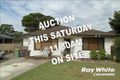 Property photo of 24 Harden Street Canley Heights NSW 2166