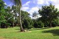 Property photo of 3353 Mossman Daintree Road Daintree QLD 4873