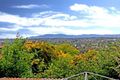 Property photo of 24 Uganda Street Burwood VIC 3125