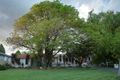 Property photo of 5 Linden Avenue Orange NSW 2800