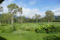 Property photo of 100 Five Mile Creek Road Damper Creek QLD 4849