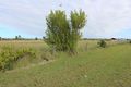 Property photo of 25 Quarry Street Cambooya QLD 4358