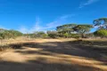 Property photo of LOT 22 Landon Street Wyening WA 6568