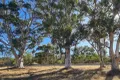 Property photo of LOT 22 Landon Street Wyening WA 6568