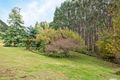 Property photo of 116 Woolleys Road Takone TAS 7325
