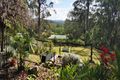 Property photo of 58 Baileys Mountain Road Willow Vale QLD 4209