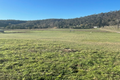 Property photo of 847 River Road Lower Portland NSW 2756