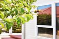 Property photo of 2/33A Elizabeth Street George Town TAS 7253