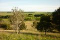 Property photo of 177 Post Office Road Mount Schank SA 5291