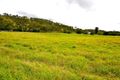 Property photo of 8499 D'Aguilar Highway Moore QLD 4314