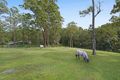 Property photo of 264 Trees Road Tallebudgera QLD 4228