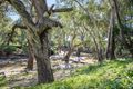 Property photo of 155 Brooklyn Road Walla Walla NSW 2659