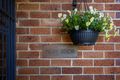 Property photo of 35 Cumberland Street Berkeley NSW 2506