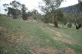 Property photo of 90 Old Omeo Highway Omeo VIC 3898
