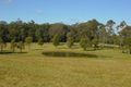 Property photo of 647 Markwell Back Road Markwell NSW 2423