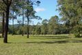 Property photo of 647 Markwell Back Road Markwell NSW 2423