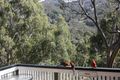 Property photo of 1/19 Bobuck Lane Thredbo NSW 2625