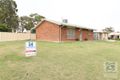Property photo of 19 Jacaranda Drive Goondiwindi QLD 4390