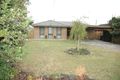 Property photo of 7 West Court Traralgon VIC 3844
