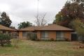 Property photo of 31 Goodwill Street Condobolin NSW 2877