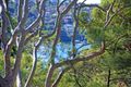Property photo of 1/52 Benelong Road Cremorne NSW 2090