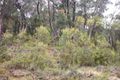 Property photo of 4 Innes Road Mount Victoria NSW 2786