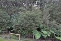Property photo of 7 Jordan Way Mirboo North VIC 3871