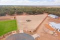 Property photo of 52 Wurlong Drive Gol Gol NSW 2738