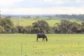 Property photo of 91 Bartram Road Jelcobine WA 6306
