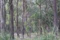 Property photo of 118 Sunset Road Dundee NSW 2370