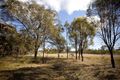 Property photo of 63 Level Crossing Road Vineyard NSW 2765