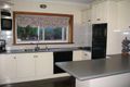 Property photo of 37 Lancaster Street Lockleys SA 5032